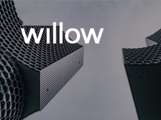 Willow 
