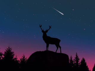 Deer Animal Totem 