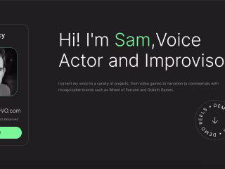 Sam Darcy VO Framer Site