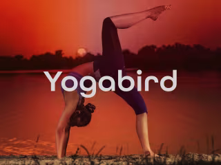 Brand Identity Design for Yogabird