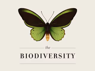 The Biodiversity | Infographic :: Behance