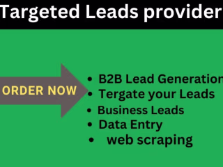 I will do b2b lead generation by linkdin research