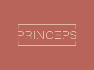 branding + logo
