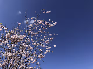 Minimalism--Ring in the Spring by Ditching Your Things