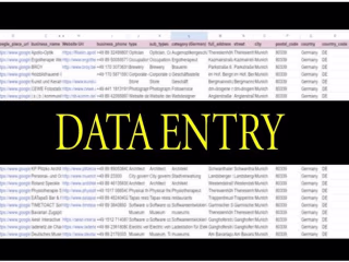 I will be your accurate data entry,web research and convert file