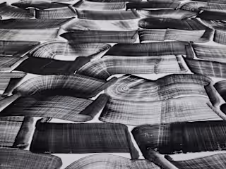 A Curated Companion to the 60th Venice Biennale - Mastermind Mag