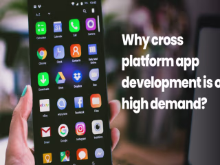 Why Cross platform app development is in high demand?