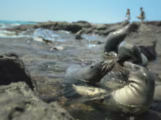 AllYouNeedIsEcuador Campaign Superbowl 2015 