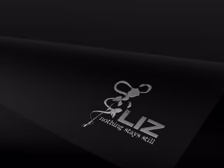 LIZ - "Nothing stays still" : Behance