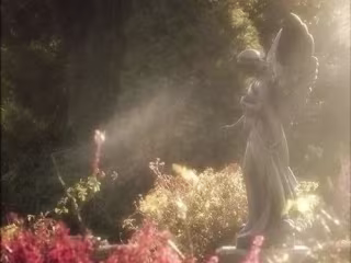 The Melody of Destiny