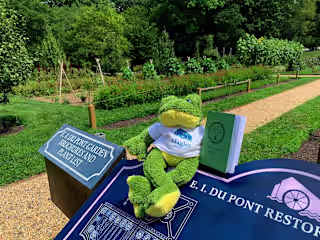 Franklin the Frog Facebook Series