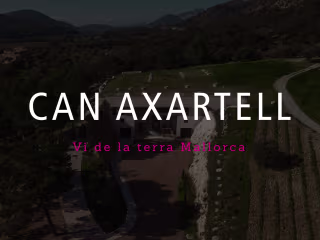 CAN AXARTELL | Product Photography