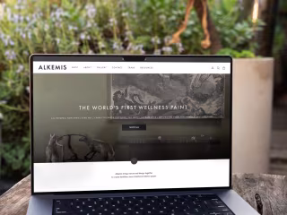 Shopify Website - Ecommerce