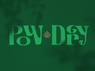Pow-Dry Hair Powder