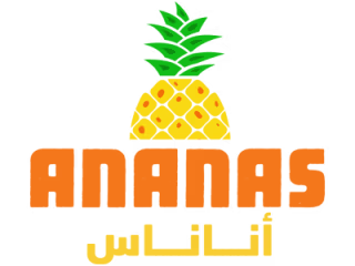 Website Development & Design & Brand Refresh l Ananas