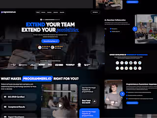 Programmers.io Landing Page Redesign