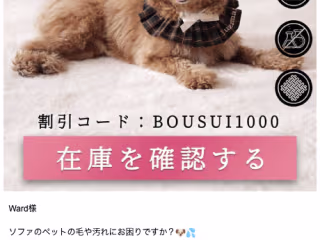 High Converting Email Design