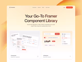 Framerize / Framer Design & Development