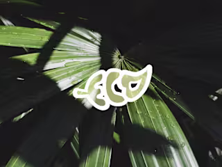 Brand Identity | Eco Aura Cosmetics  