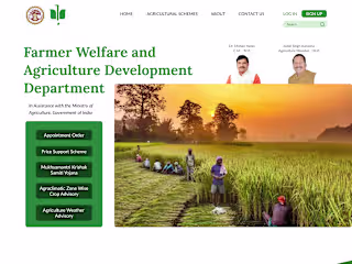 Government Website Redesign