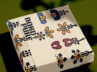 NORD PURE SKINCARE BRAND IDENTITY & PACKAGING DESIGN
