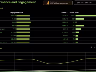 Data Analysis and Insights Report for Digital Marketing Strategy