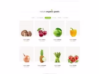 Ecommerce website and Mobile App