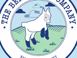 The BeneBaby Company