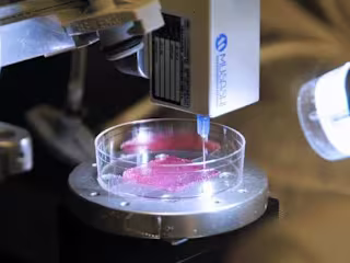 Bio printing 