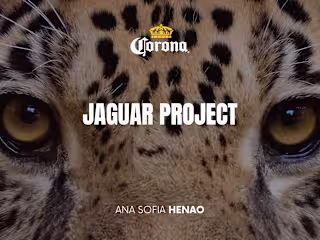 Jaguar Project on Behance