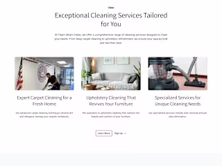 Team Steam Clean