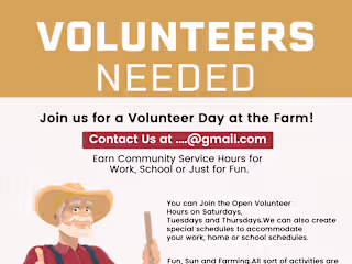 Volunteer Days Flyer