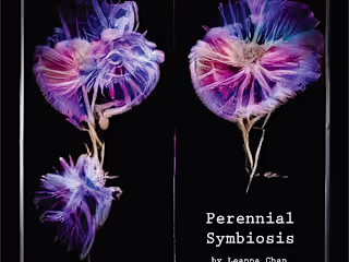 Perennial Symbiosis, 2022-2023