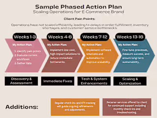 Scaling Operations for E-Commerce Brand