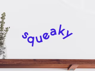 squeaky - For your peace of mind! on Behance