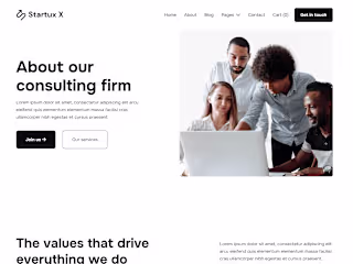 Portfolio Project (Webflow)