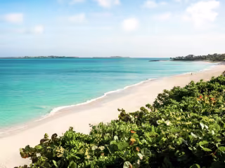Kahlua: A Braider, A Beach and A Ban —