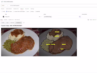 Food Segmentation and calorie estimation
