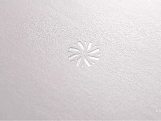 Adair - Flying club brand design