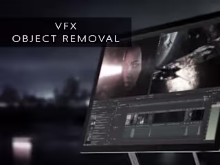 Visual Effects Removal Work
