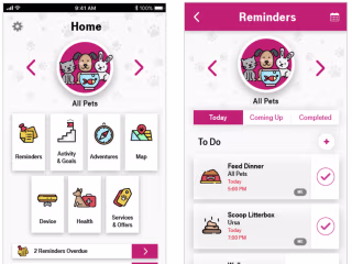 Delightful Mobile Experience for Pet Owners - T-Mobile