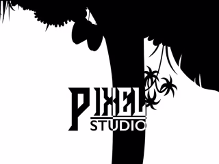 Brand identity for PixelStudio