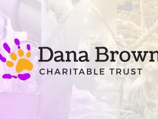 Dana Brown Charitable Trust | St Louis Nonprofits