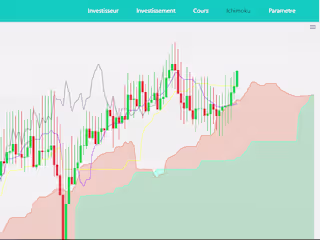 Investment Management Project