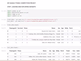 MY-PROJECTS/kaggle titanic competition.html at main · Ngila-j/M…