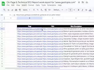 On-Page & Technical SEO