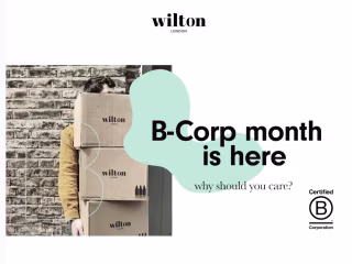 Wilton London B-Corp Month Newsletter