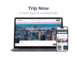 Travel Agency Web Design 