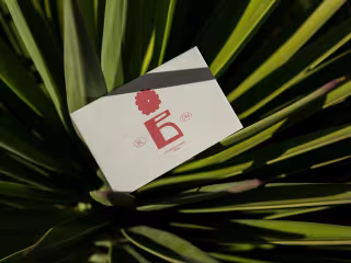💐 Blom