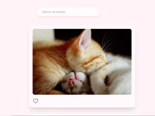 Cattagram